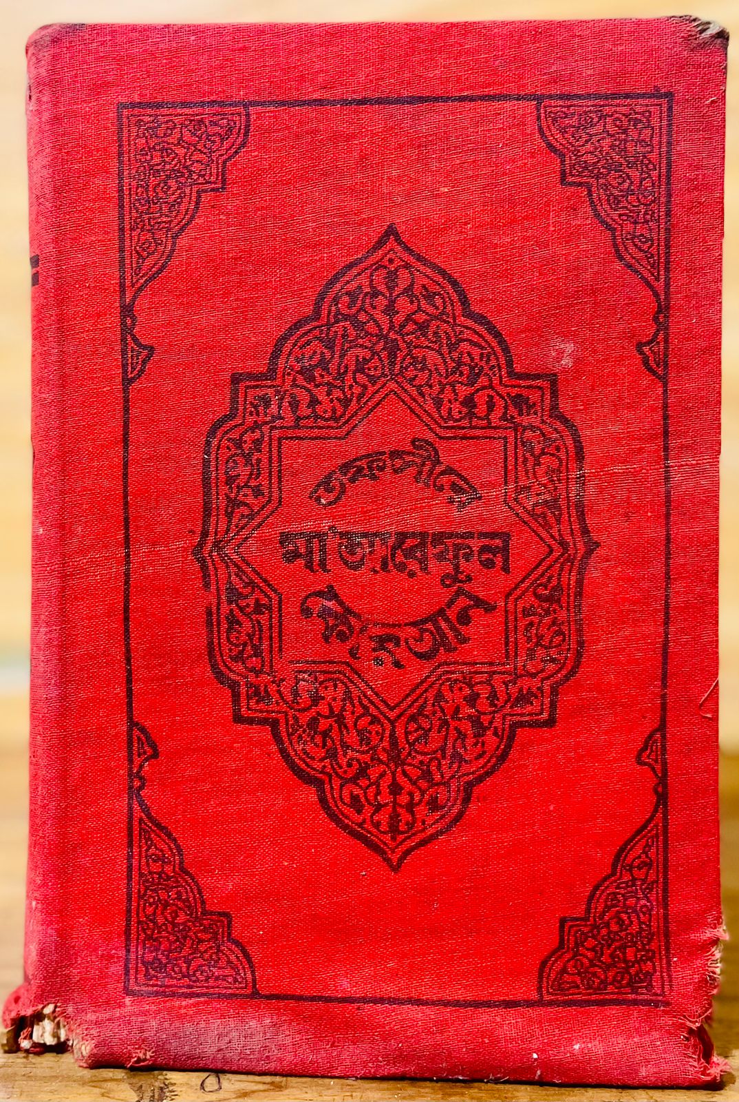 WhatsApp Image 2026-02-16 at 3.51.16 PM (1)